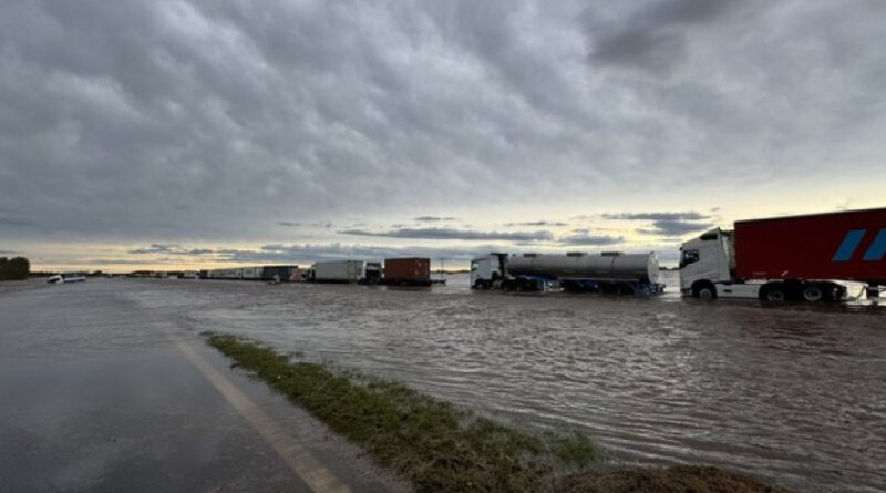 🌧️ El agro bajo el agua: la Provincia declara la emergencia en 12 distritos